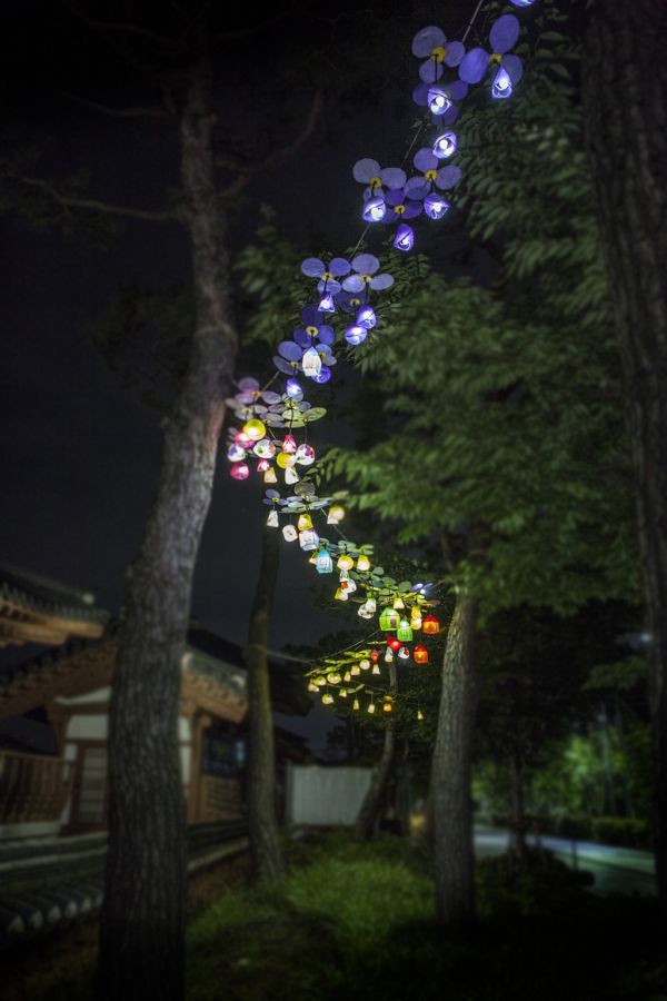 KakaoTalk_20230426_154230582.jpg