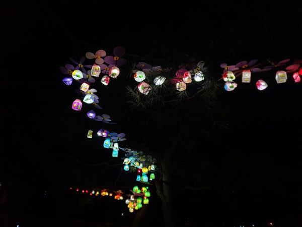20201120_195700.jpg